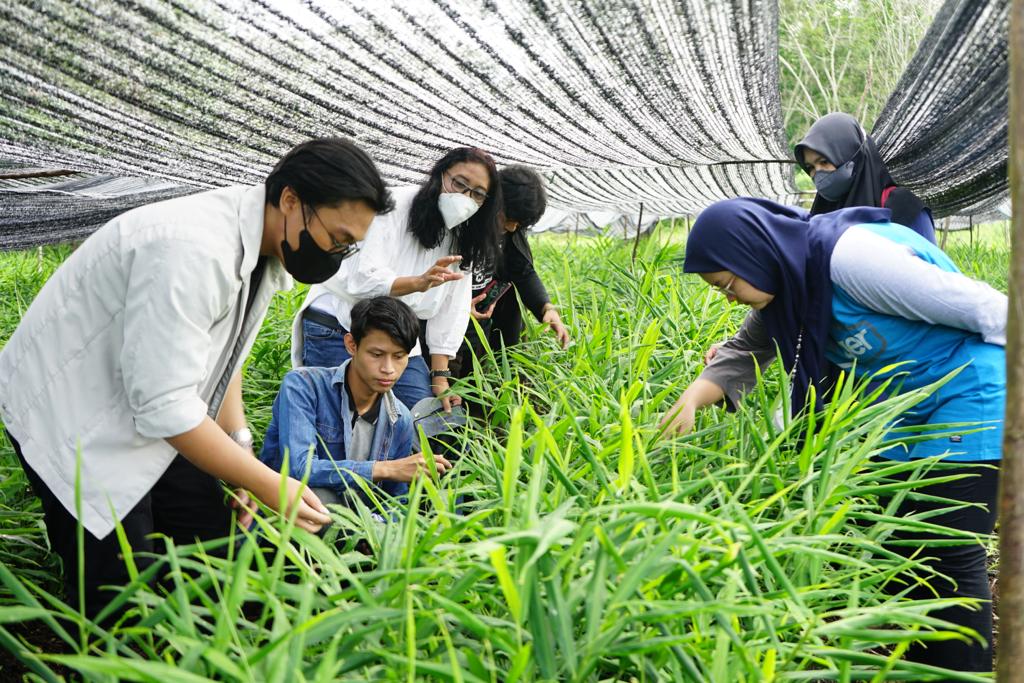 Mahasiswa Prodi Ilmu dan Teknologi Pangan UNTAN Laksanakan Kuliah MBKM berbasis proyek sistim jaminan mutu di Desa Teluk Empening Kubu Raya